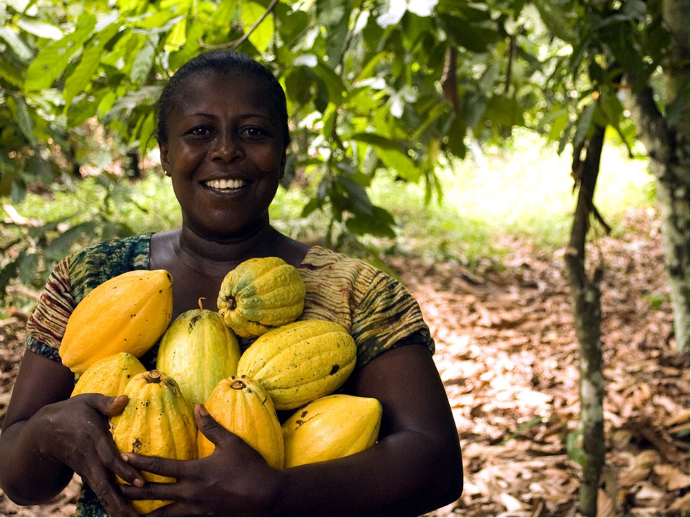 GCB Cocoa pledges $30,000 to support cocoa-growing communities during COVID-19