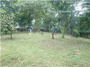 Orphanage Pasir Gudang