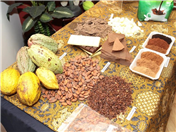 YB Puan Teresa Kok Visit GCB Group